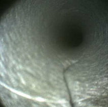 Videoendoscope testing Videoendoscopic examinations